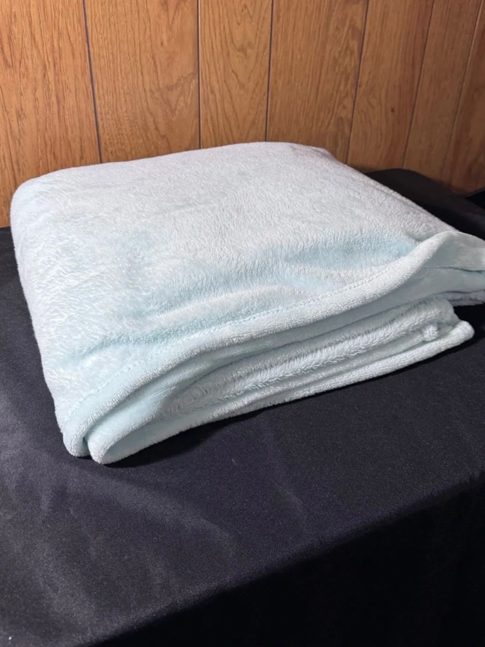 Light Mint Green Plush Throw Blanket -